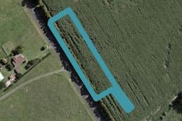 87 Clarks Beach Road, Clarks Beach, Clarks Beach