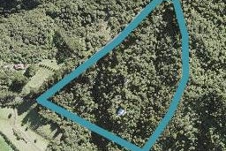 199 Lone Kauri Road, Karekare, Auckland