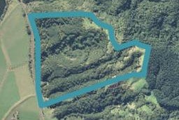 319 Taneatua Road, Taneatua, Whakatane