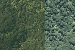 0 State Highway 35, Te Kaha, Te Kaha