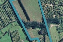 148A Wharawhara Road, Tahawai, Katikati