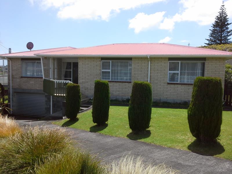 8 Norwich Avenue, Spotswood, New Plymouth - Carousel 1