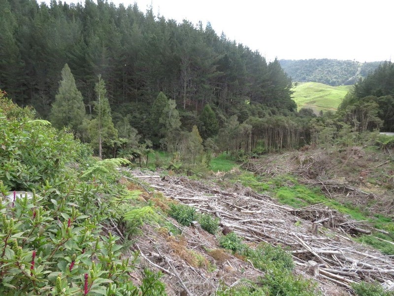 0 Blue Gorge Road, Peria, Kaitaia - Carousel 11