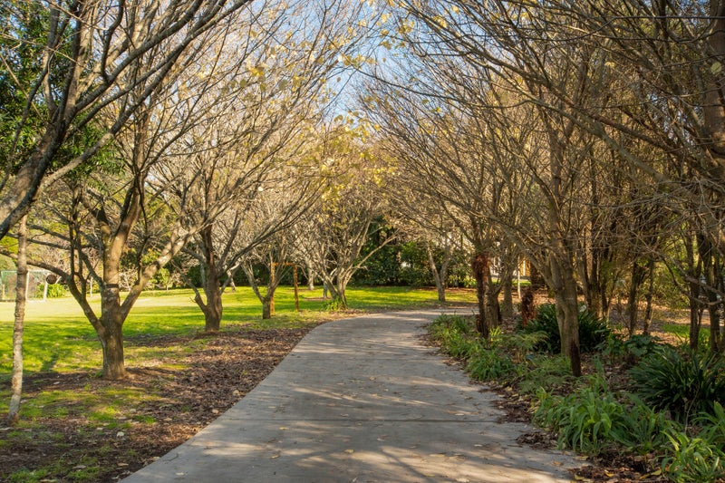 44 Silkwood Way, Tauriko, Tauranga - Carousel 28