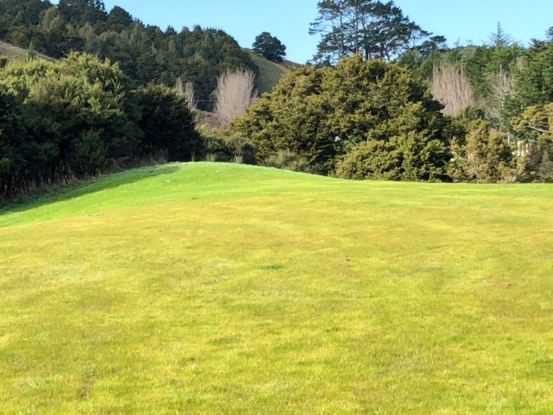 48 MICK DILLON RD, Makarau, Warkworth - Carousel 1