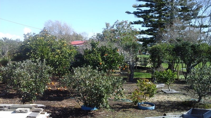 62 Norton Street, Te Kopuru - Carousel 10