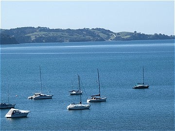 73 Willjames Avenue, Algies Bay, Warkworth - Carousel 10