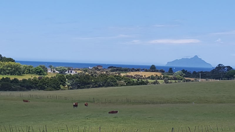 0 State Highway 1, Ruakaka, Ruakaka - Carousel 1