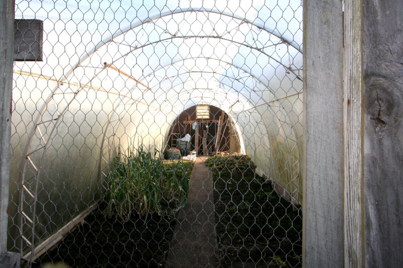 3 Hope Street, Georgetown, Invercargill - Carousel 10