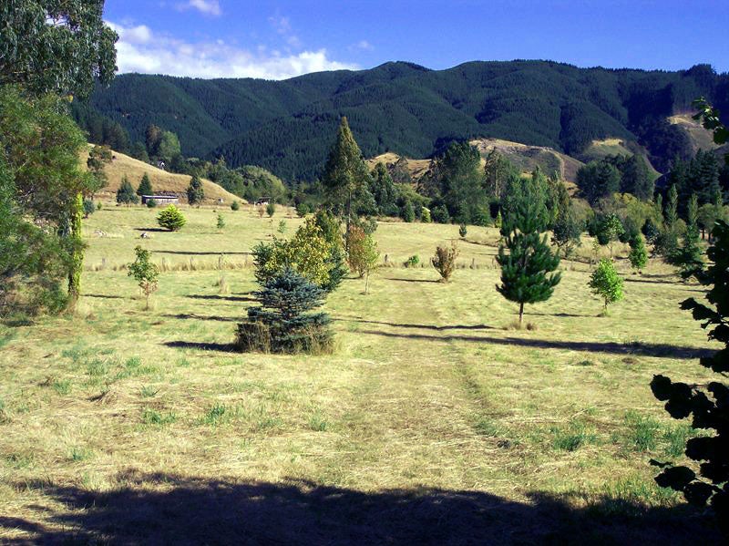 685 Aniseed Valley RD, Aniseed Valley, Richmond - Carousel 2