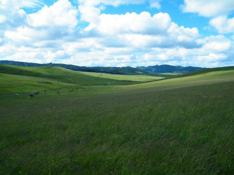 0 Brown Rd, Hakaru, Kaiwaka - Carousel 1