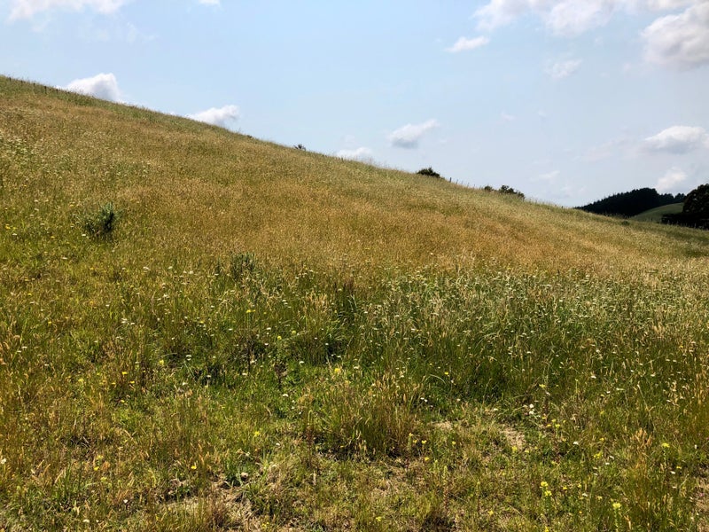 0 Tahekeroa Road, Makarau, Warkworth - Carousel 23