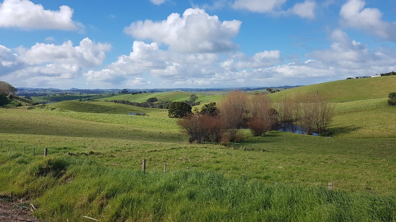 659 Tinopai Road, Matakohe - Carousel 1