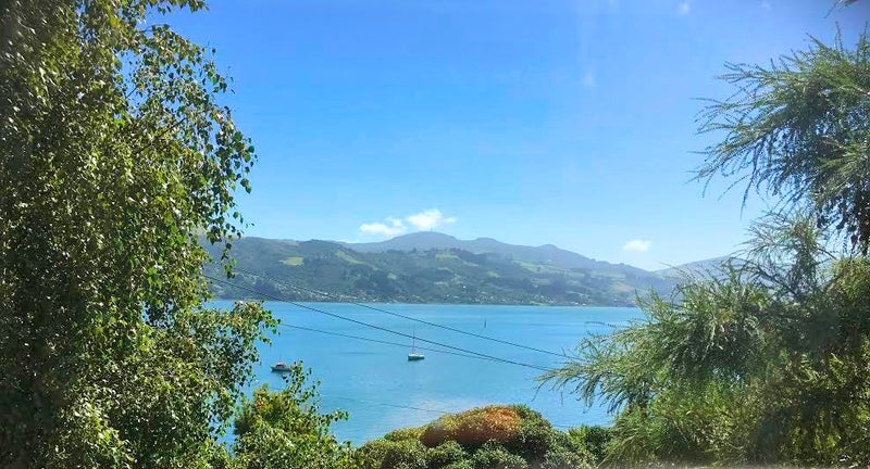 487 Portobello Road, Macandrew Bay, Dunedin - Carousel 1