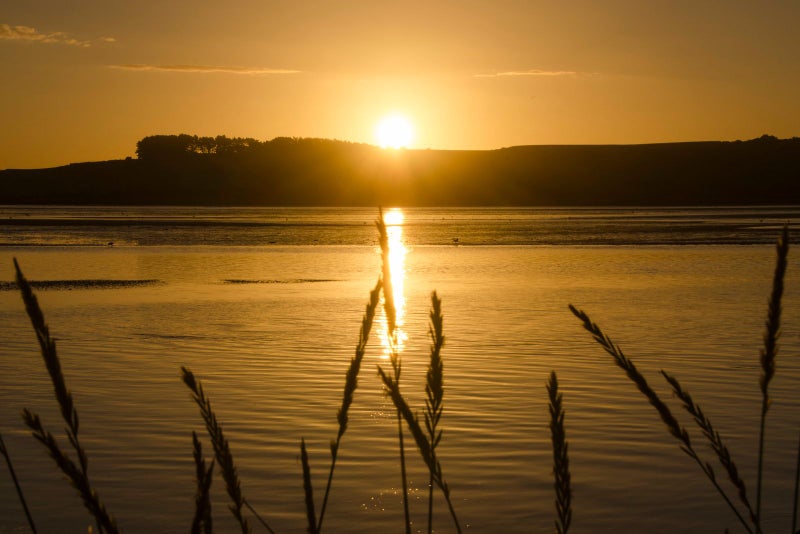 603 Pukehina Parade, Te Puke - Carousel 21
