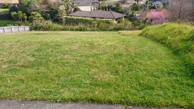 109 Castlewold Drive, Bethlehem, Tauranga - Carousel 1
