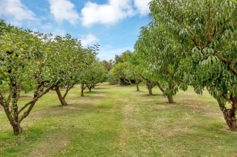 79 Mccathie Road, Whangarei - Carousel 10