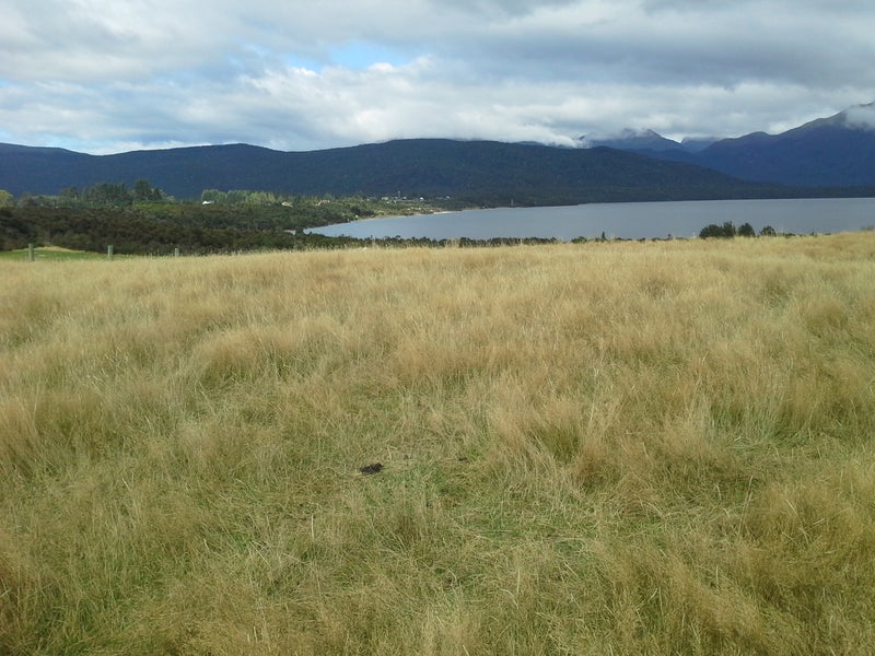 35 Mahara Avenue, Te Anau - Carousel 1