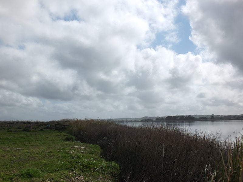 71 Heawa Road, Aratapu, Dargaville - Carousel 10