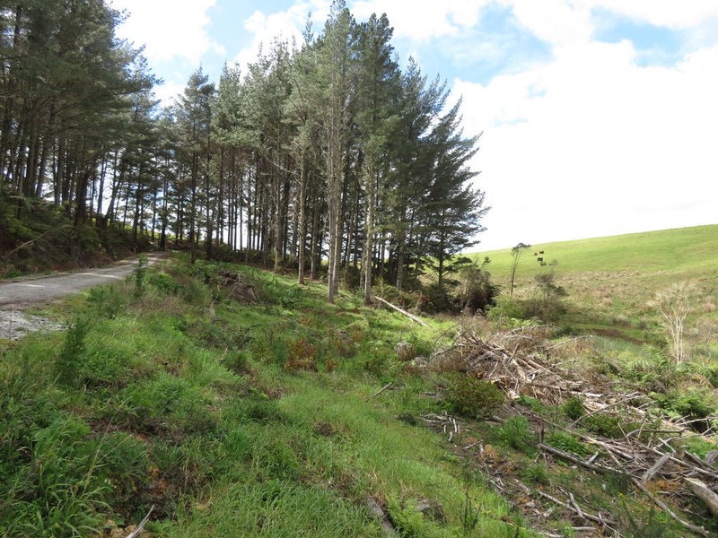 0 Blue Gorge Road, Peria, Kaitaia - Carousel 2