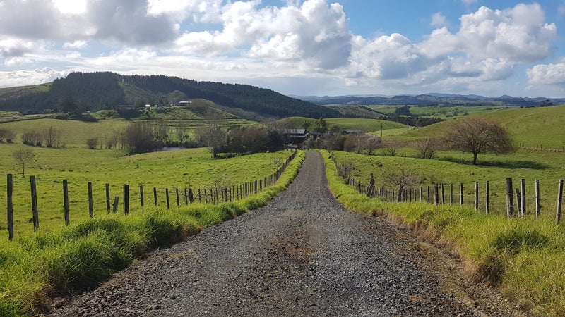 659 Tinopai Road, Matakohe - Carousel 21