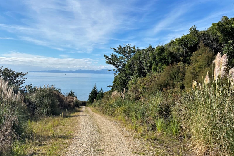 120 Excellent Street, Collingwood - Carousel 10