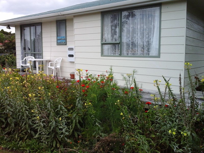 18 Agnes Street, Te Kōpuru - Carousel 10