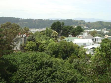 27 Devon Street, Aro Valley, Wellington - Carousel 1