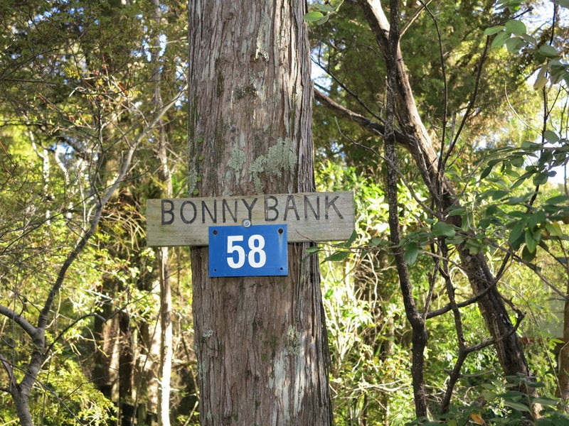 58 Totara Avenue, Collingwood - Carousel 2