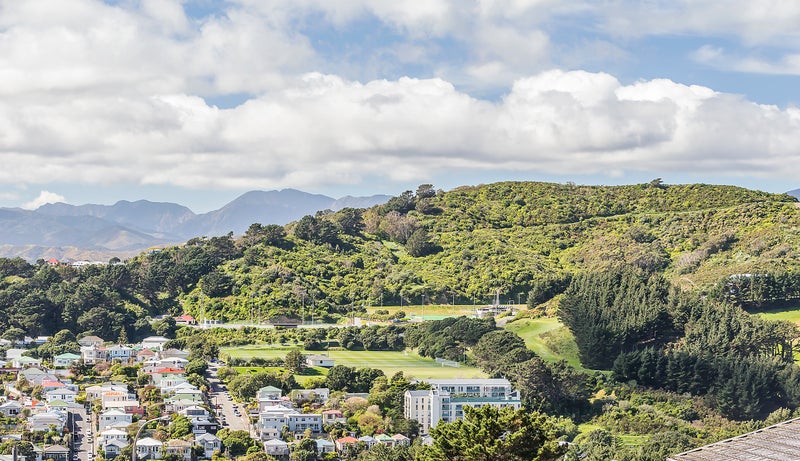 37 Halifax Street, Kingston, Wellington - Carousel 10