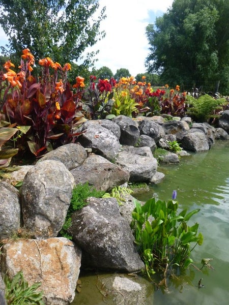 41 Woodward Road, Whangarei - Carousel 20