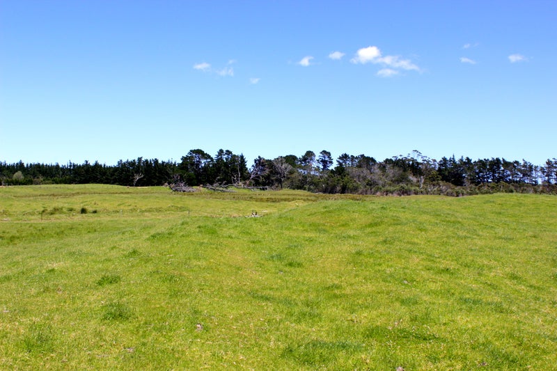 0 State Highway 1, Houhora, Pukenui - Carousel 1