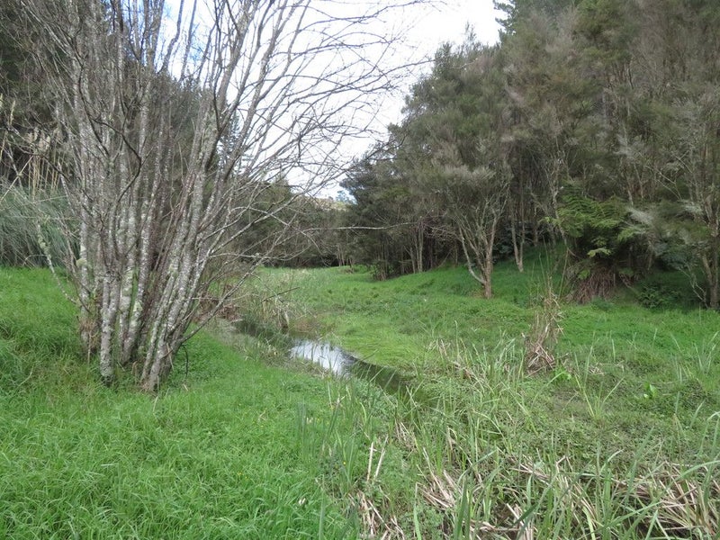 0 Blue Gorge Road, Peria, Kaitaia - Carousel 1