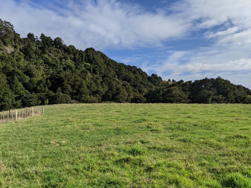 658 West Coast road, Makarau, Auckland - Carousel 17