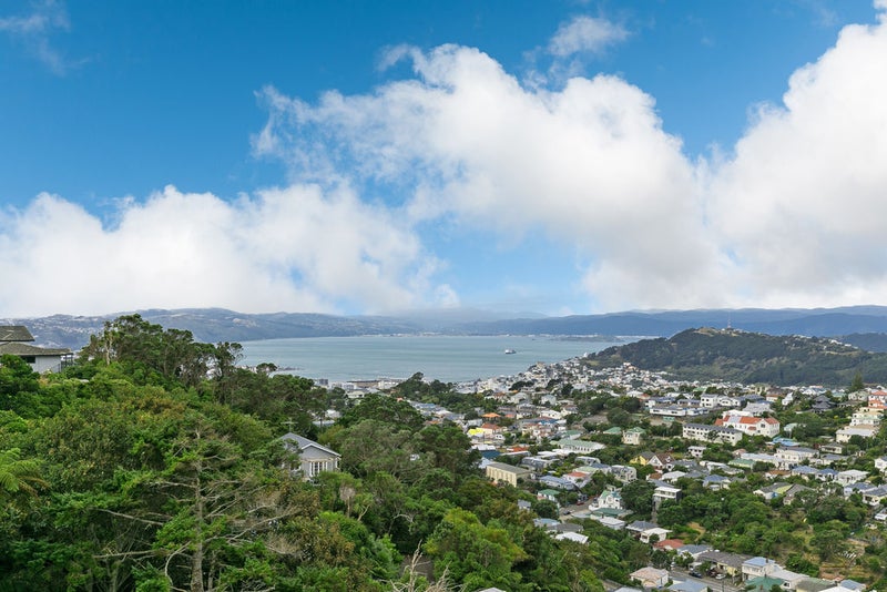 139 Mitchell Street, Brooklyn, Wellington - Carousel 1