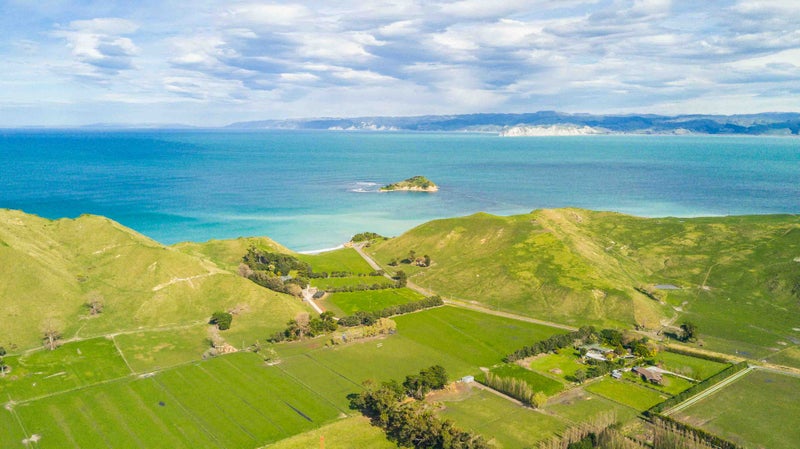 31 Hamilton Drive, Wainui, Gisborne - Carousel 6