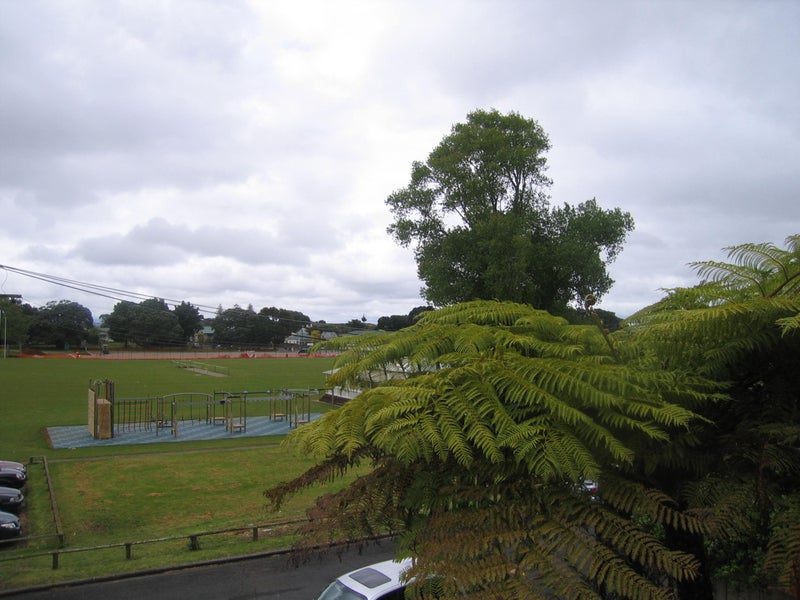 1/4 Boyd AVE, Royal Oak, Auckland - Carousel 10