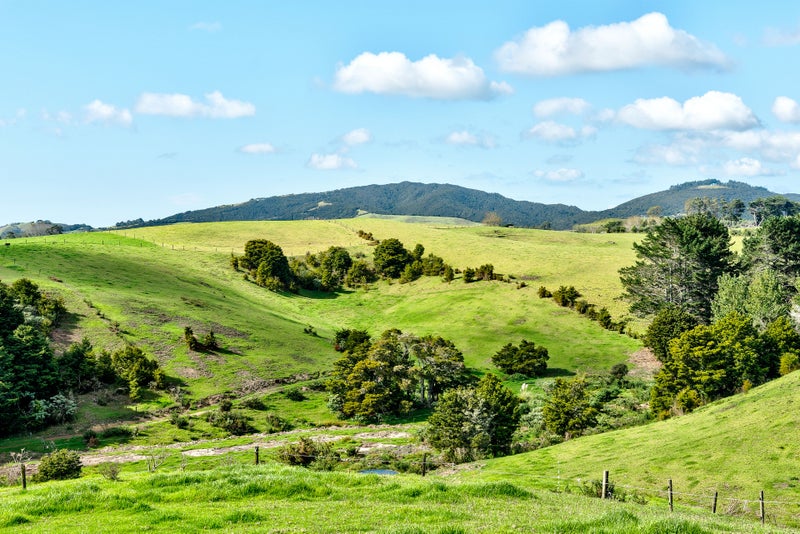 134 Addison Road, Onerahi - Carousel 2