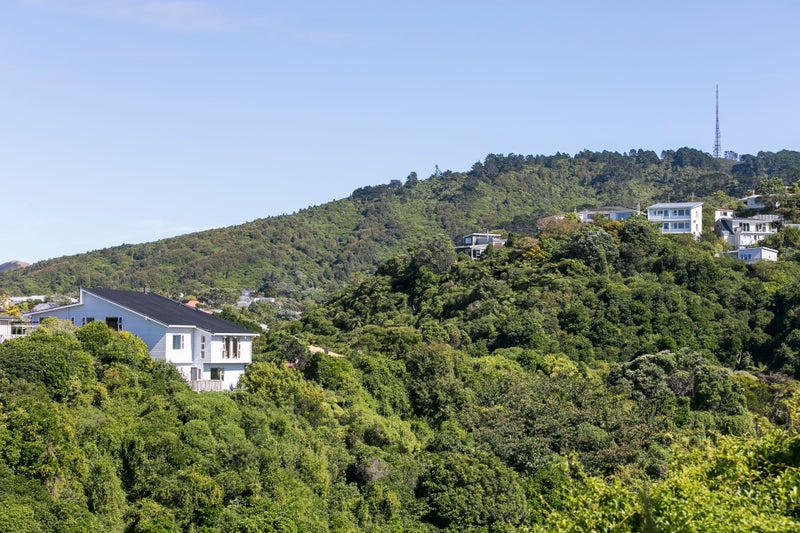 36A Ranui Crescent, Khandallah, Wellington - Carousel 18