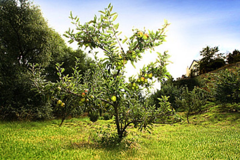 0 Tucker Beach Road, Queenstown Hill, Queenstown - Carousel 2