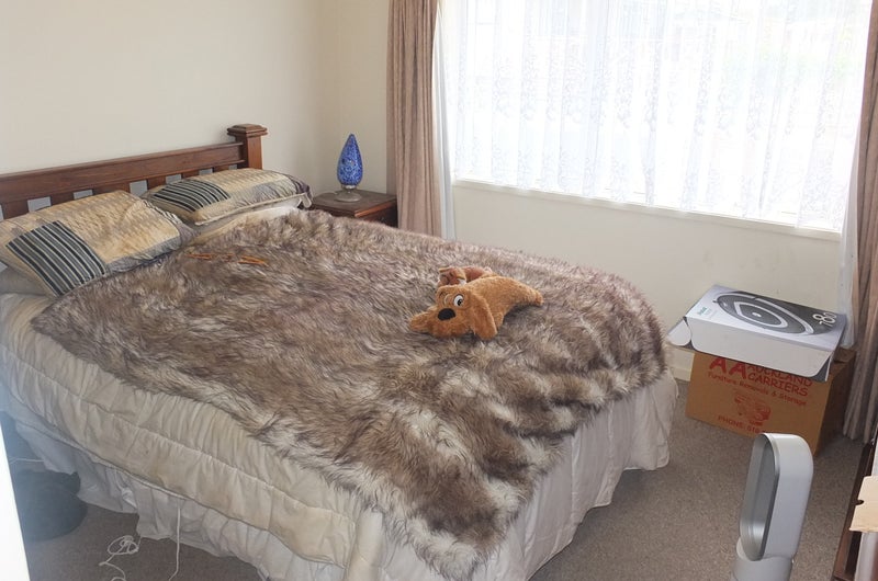 3 Skylark Close, Dargaville - Carousel 2
