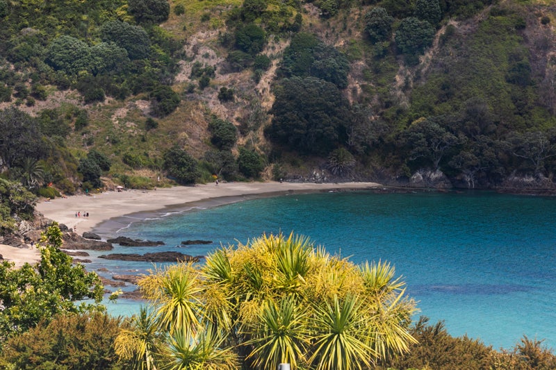 13 Matapana Road, Palm Beach, Waiheke Island - Carousel 2