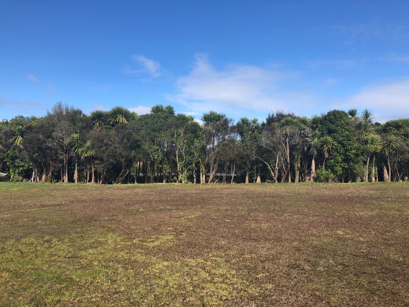 20 Park Avenue, Mangawhai Heads, Mangawhai  - Carousel 10