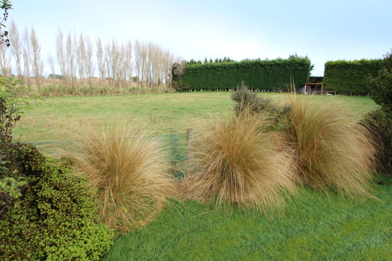 619 Bainfield Road, Waihopai, Invercargill - Carousel 23