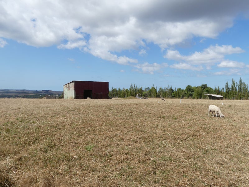 180 Lodore Road, Okaihau, Okaihau - Carousel 2