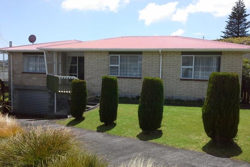 8 Norwich Avenue, Spotswood, New Plymouth