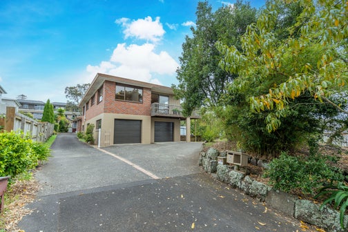 20A Irirangi Road, Greenlane, Auckland