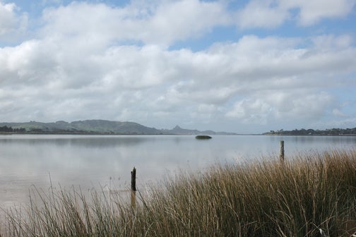 71 Heawa Road, Aratapu, Dargaville