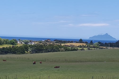 0 State Highway 1, Ruakaka, Ruakaka