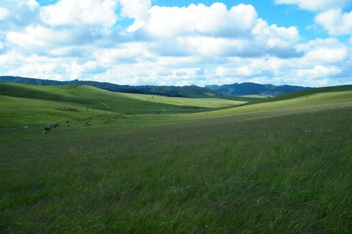 0 Brown Rd, Hakaru, Kaiwaka